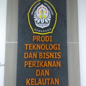 Letter Program Studi Undip